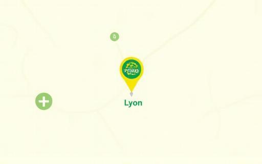 Carte de Lyon marquant l'adresse de Vert Jardin